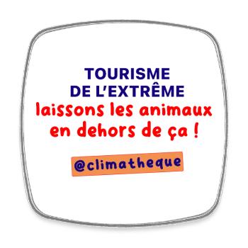 Tourisme_de_lextreme_laissons_les_animaux_en_dehor - Square fridge magnet - white - Front