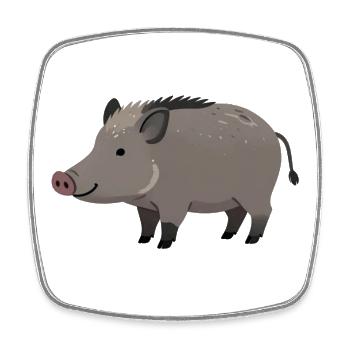 Wild boar - Square fridge magnet - white - Front
