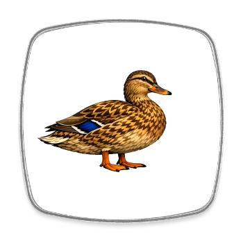 Canard colvert - Magnet carré - blanc - Devant