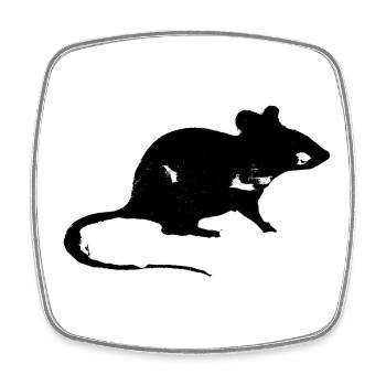 Rat - Square fridge magnet - white - Front