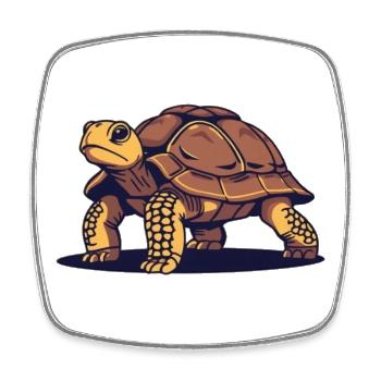 Schildkröte Schildkröten Geschenk - Viereckiger Kühlschrankmagnet - Weiß - Vorne