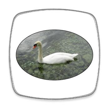 Swan swimming. - Square fridge magnet - white - Front