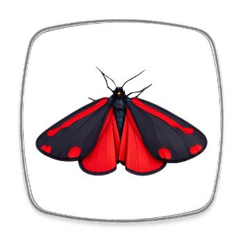 Cinnabar Moth Tyria jacobaeae Cartoon Style - Magnet carré - blanc - Devant