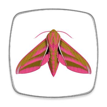 Elephant Hawk Moth Deilephila elpenor Cartoon Styl - Square fridge magnet - white - Front