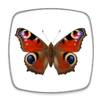 Papillon Paon Aglais io Style réaliste - Magnet carré - blanc - Devant