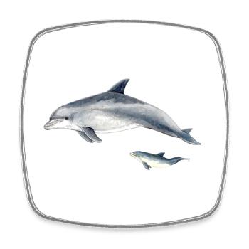 Dauphins en duo bleu aquarelle - Magnet carré - blanc - Devant