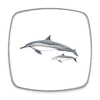 Dolphin acrobat - Long-beaked dolphin - Dauphin - Square fridge magnet - white - Front