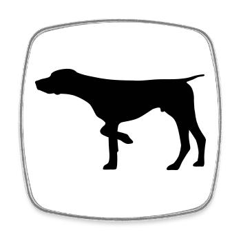 German Shorthaired Pointer - Square fridge magnet - white - Front