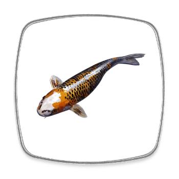Carp koi - Magnet carré - blanc - Devant