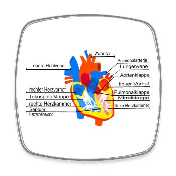 Anatomisches Herz, Cor, - Viereckiger Kühlschrankmagnet - Weiß - Vorne