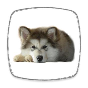 Maia Malamute Welpe - Viereckiger Kühlschrankmagnet - Weiß - Vorne