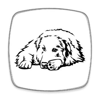 Pyreneenberghund - Magnet carré - blanc - Devant