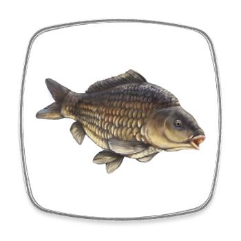 Common Carp Fishing Design Realistic Carp - Square fridge magnet - white - Front