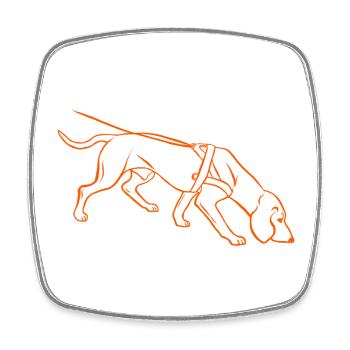 Schweißhund in orange - Viereckiger Kühlschrankmagnet - Weiß - Vorne