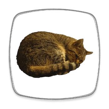 schlafende Katze, tabby motiv, pelzig - Viereckiger Kühlschrankmagnet - Weiß - Vorne