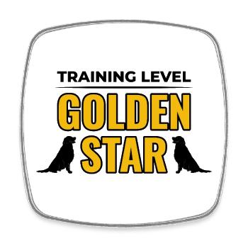Training Level Golden Star Golden Retriever  - Square fridge magnet - white - Front