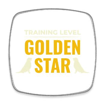 Training Level Golden Star Golden Retriever Design - Square fridge magnet - white - Front