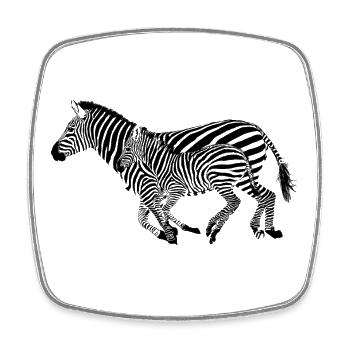 Zebra - Viereckiger Kühlschrankmagnet - Weiß - Vorne