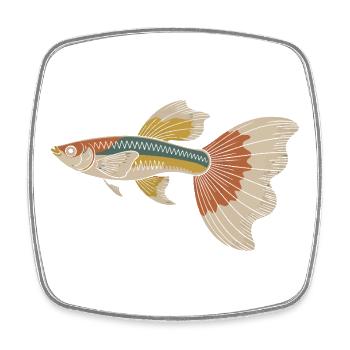 Colorful tropical fish Sailfin - Square fridge magnet - white - Front