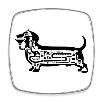 Dachshund Digestion Dog Art - Square fridge magnet - white - Front