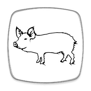 pig - Square fridge magnet - white - Front