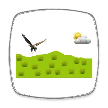 Aigle sur un paysage vert - Magnet carré - blanc - Devant