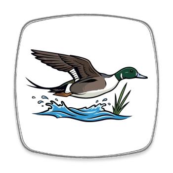 Northern Pintail in Flight Wild Nature - Square fridge magnet - white - Front