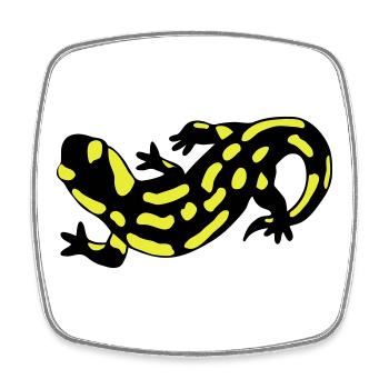 Salamander - Viereckiger Kühlschrankmagnet - Weiß - Vorne
