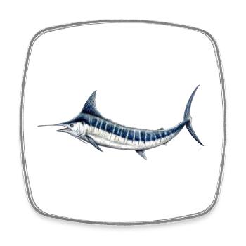 Blue Marlin - Blue marlin - Espadon - Fish - Square fridge magnet - white - Front