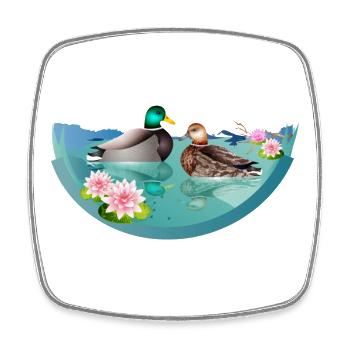 Enten Pärchen im Ententeich mit Seerosen - Viereckiger Kühlschrankmagnet - Weiß - Vorne