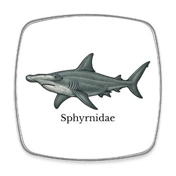 Sphyrnidae Hammerhead Shark Design - Square fridge magnet - white - Front