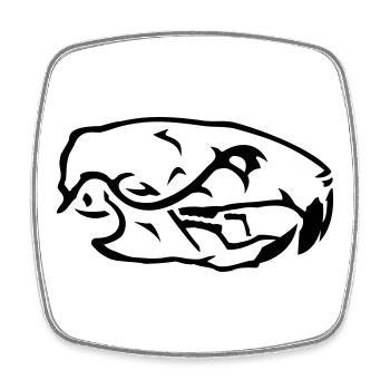 Ratten Skull Schädel - Viereckiger Kühlschrankmagnet - Weiß - Vorne