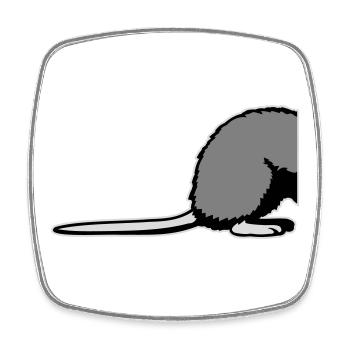 Ratte Rückseite Halb Lustig Schwanz Nagetier Tier - Viereckiger Kühlschrankmagnet - Weiß - Vorne
