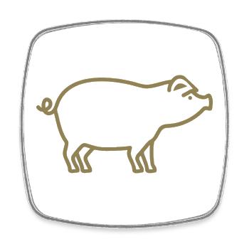 Cute Pig Silhouette Minimalist Farmer - Square fridge magnet - white - Front