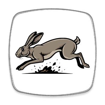 Lièvre Sauvage Lièvre Course Vitesse Nature - Magnet carré - blanc - Devant