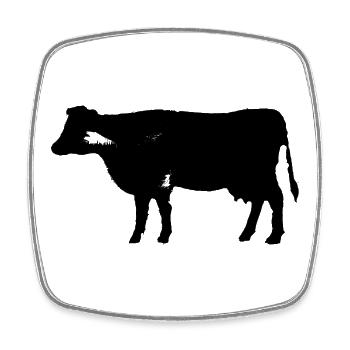 Cow - Square fridge magnet - white - Front