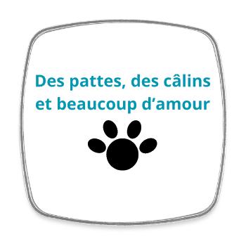 Des_pattes-_des_câlins_et_beaucoup_damour - Magnet carré - blanc - Devant