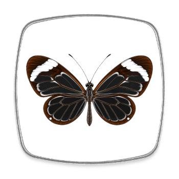 Glasswing Butterfly Greta oto Cartoon Style - Square fridge magnet - white - Front