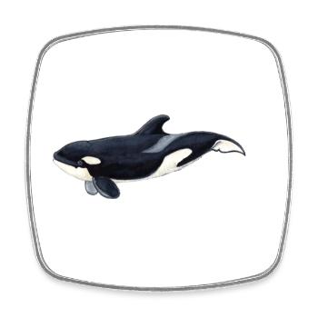 Baby Orca - Baby orca - Baby orca - Square fridge magnet - white - Front