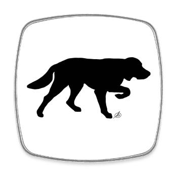 langhaariger Vorstehhund - Viereckiger Kühlschrankmagnet - Weiß - Vorne