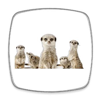 Erdmännchen Familie - Viereckiger Kühlschrankmagnet - Weiß - Vorne