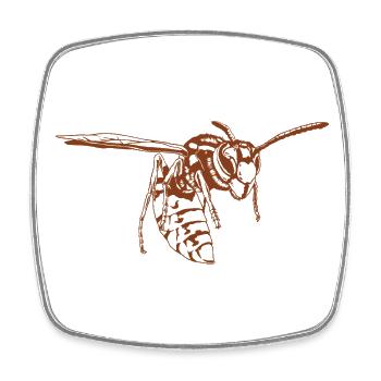 Cool Guêpe Insecte Croquis Guêpe graphique Amoureux des animaux - Magnet carré - blanc - Devant