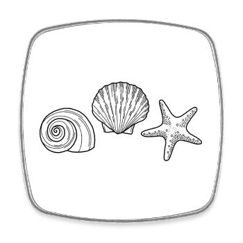 Shell, Starfish, Snail - Square fridge magnet - white - Front