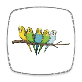 Famille colorée de perruches ondulées sur la branche - Magnet carré - blanc - Devant