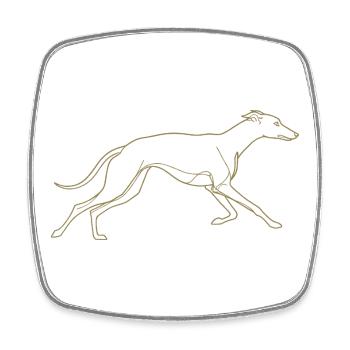 Minimalistische Windhund Silhouette Linienkunst - Viereckiger Kühlschrankmagnet - Weiß - Vorne