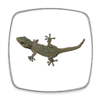 Gecko - Magnet carré - blanc - Devant