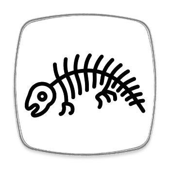 Dinosaur Bone - Square fridge magnet - white - Front
