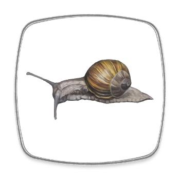 Snails Watercolor Illustration - Square fridge magnet - white - Front