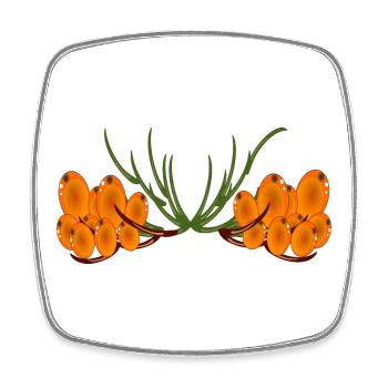 Plantes d’argousier BAIES D’ARGOUSIER - Magnet carré - blanc - Devant