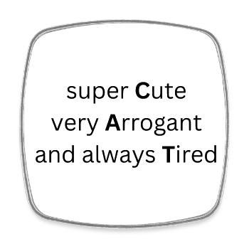 CAT - super Cute, very Arrogant and always Tired - Viereckiger Kühlschrankmagnet - Weiß - Vorne